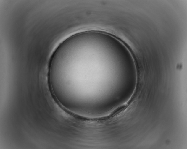X0000102281508200807251346