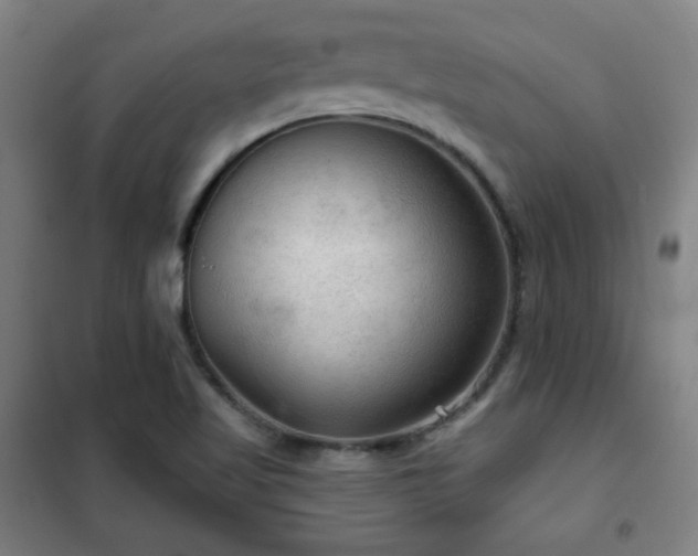 X0000102281509200807251346