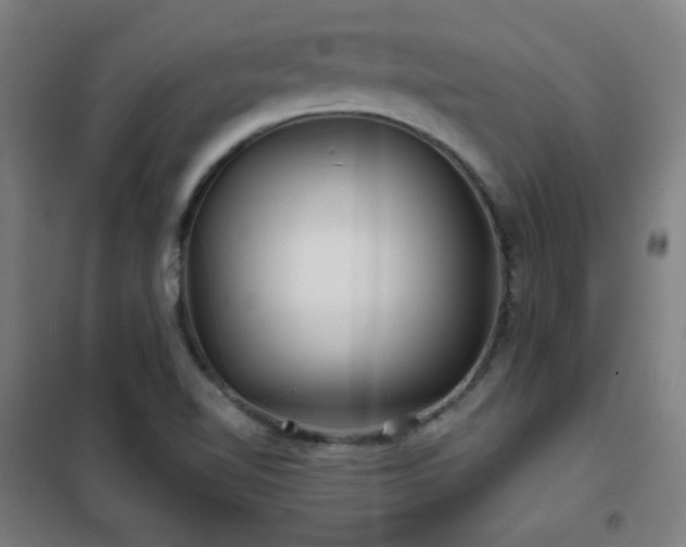 X0000102281510200807251346