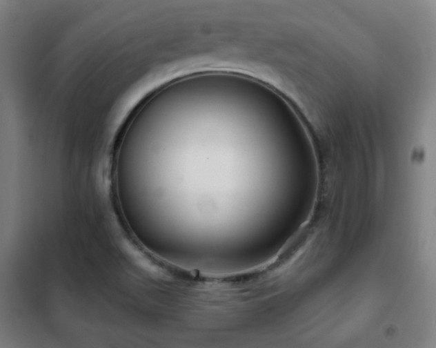 X0000102281511200807251346