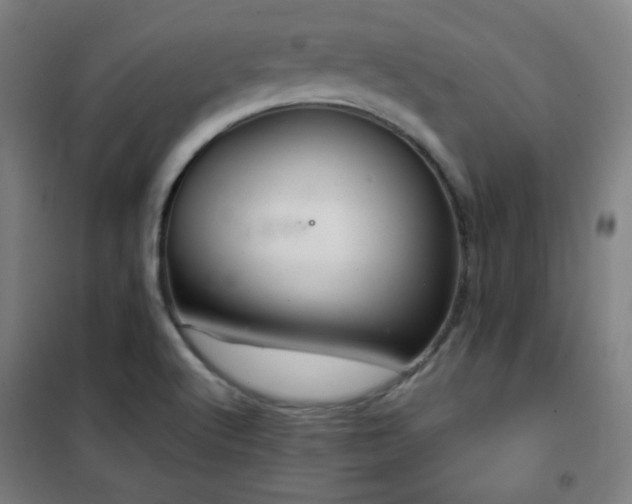 X0000102281512200807251346