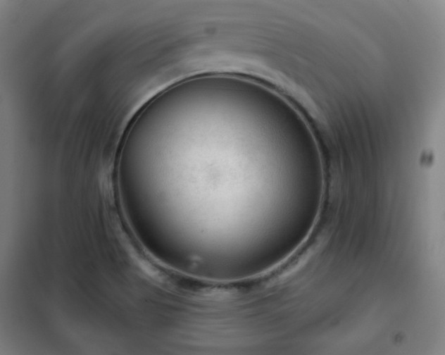 X0000102281513200807251346