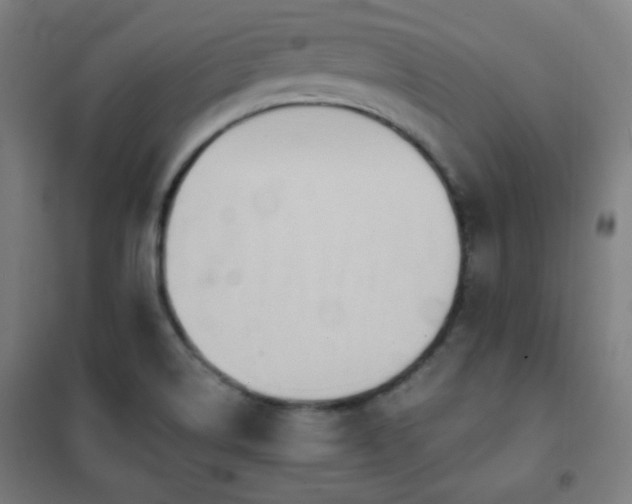 X0000102281514200807251347