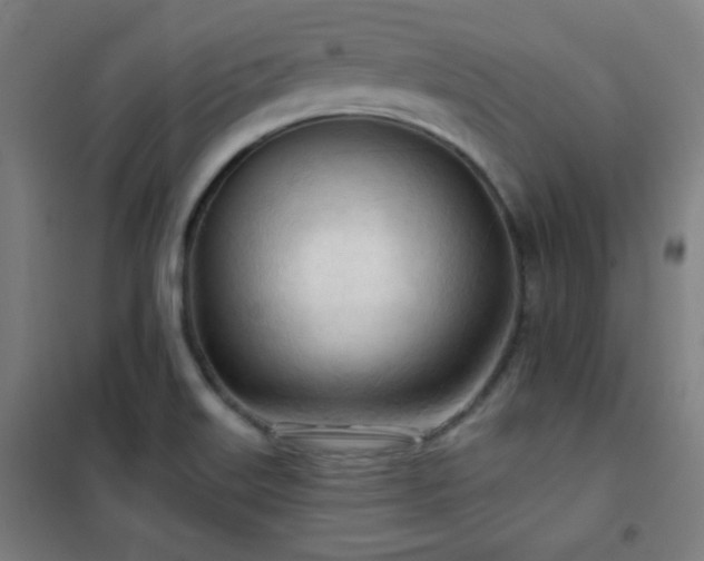 X0000102281515200807251347