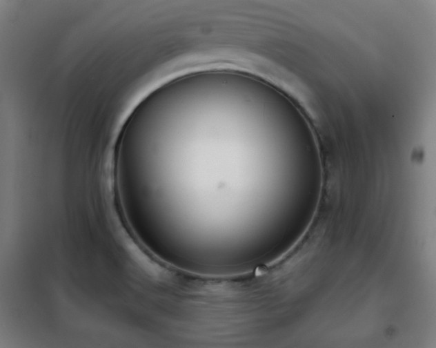 X0000102281516200807251347