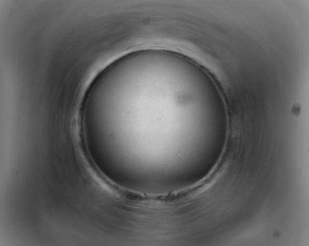 X0000102281517200807251347