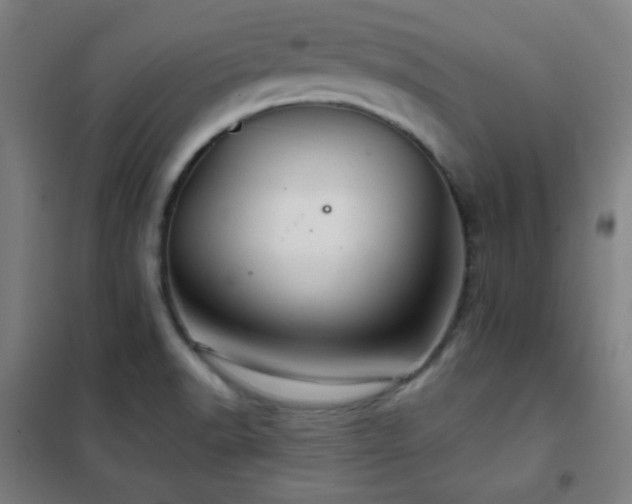 X0000102281518200807251347