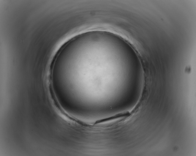 X0000102281519200807251347