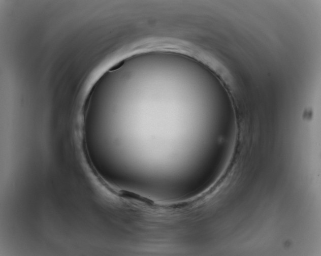 X0000102281520200807251347