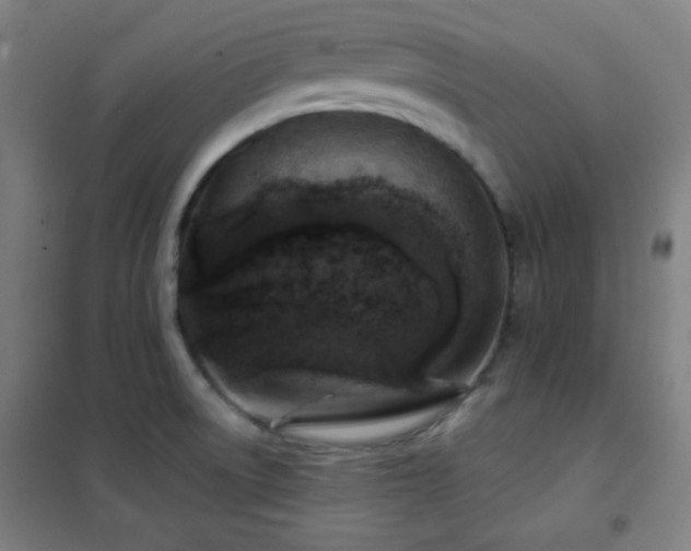 X0000102281522200807251347