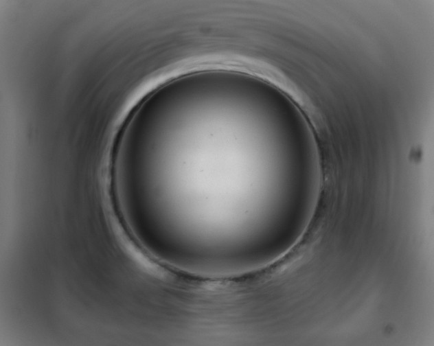 X0000102281523200807251347