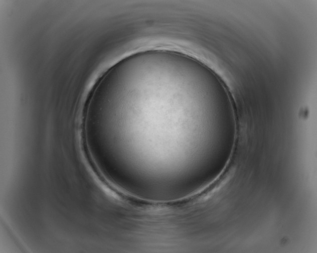 X0000102281525200807251347