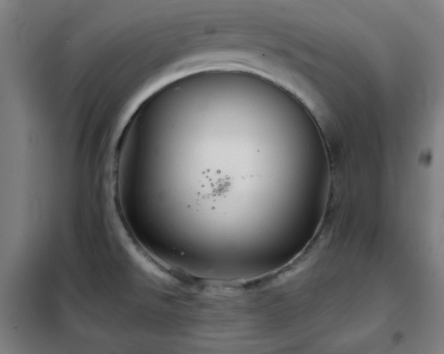 X0000102281526200807251347