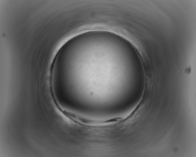 X0000102281527200807251347