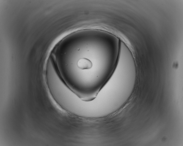 X0000102281528200807251347