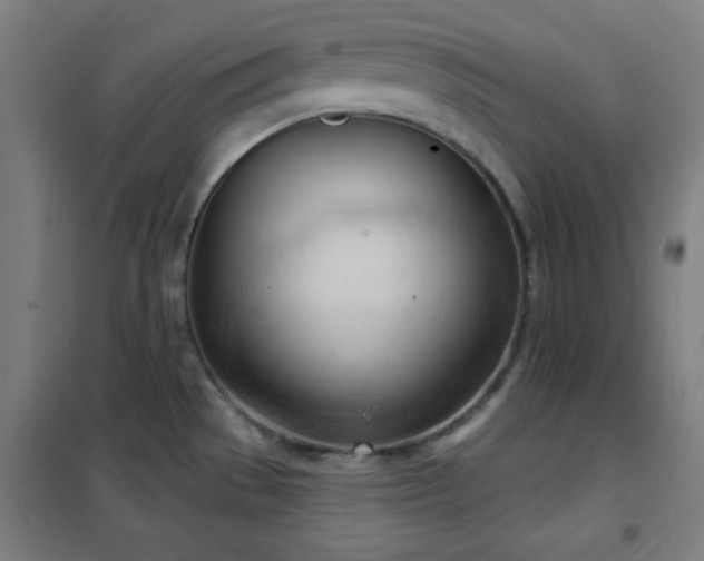 X0000102281529200807251347