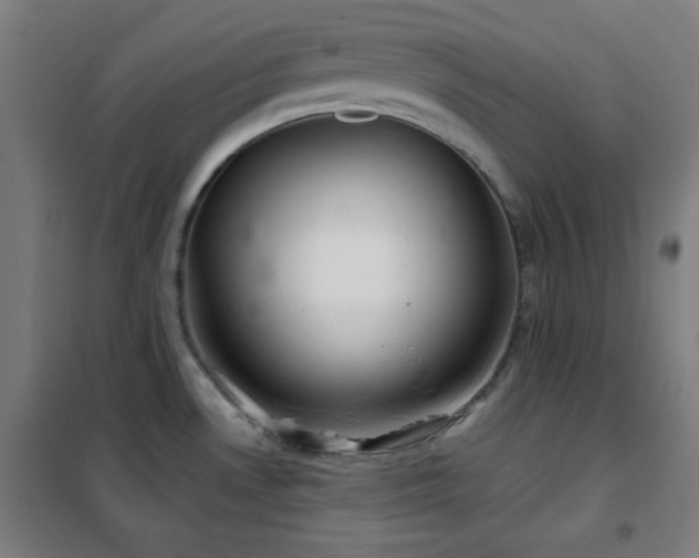 X0000102281530200807251347