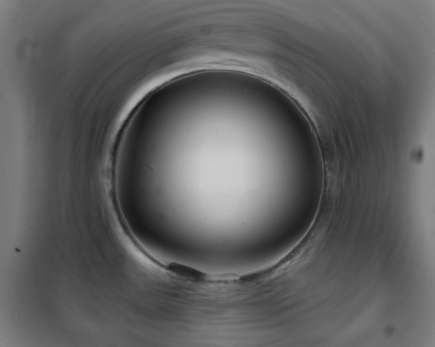 X0000102281531200807251347