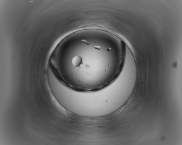 X0000102281532200807251347