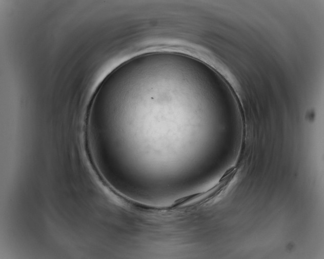X0000102281533200807251347