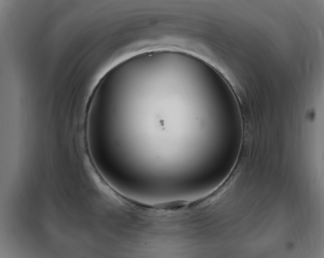 X0000102281534200807251347