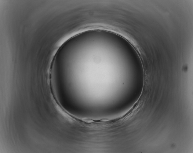 X0000102281535200807251347