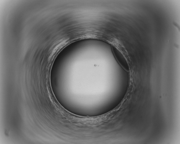 X0000102280001200808011501