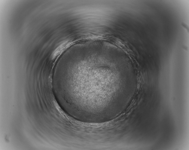 X0000102280002200808011501