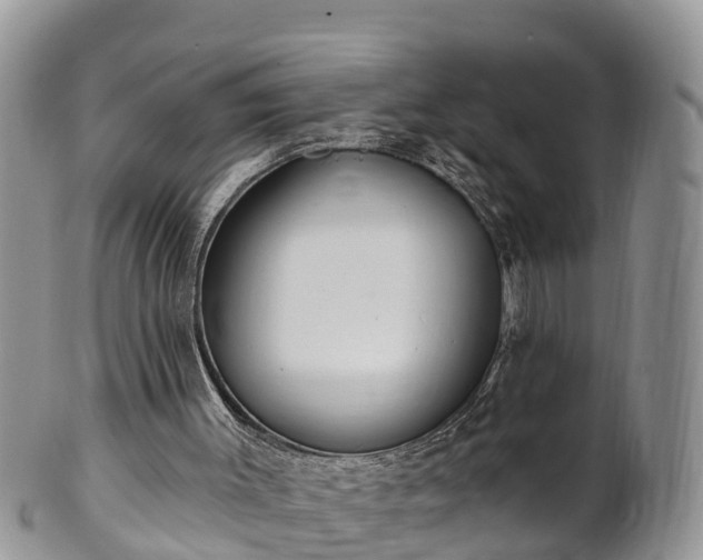 X0000102280003200808011501