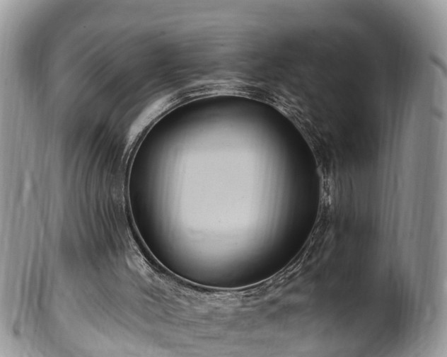 X0000102280004200808011501