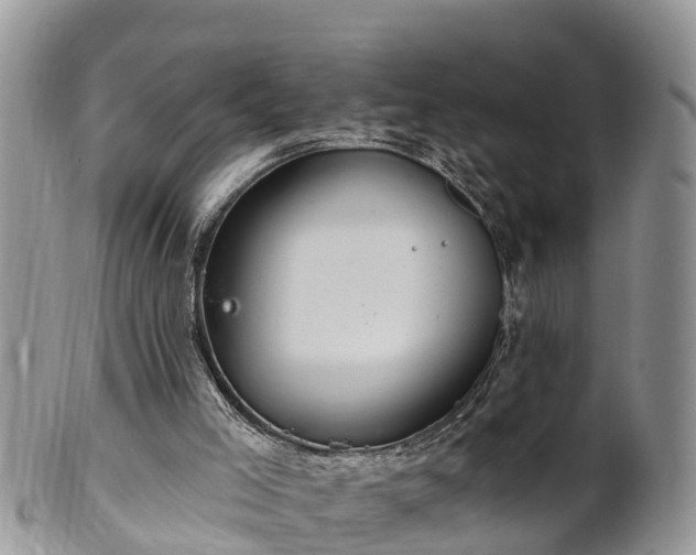 X0000102280005200808011501