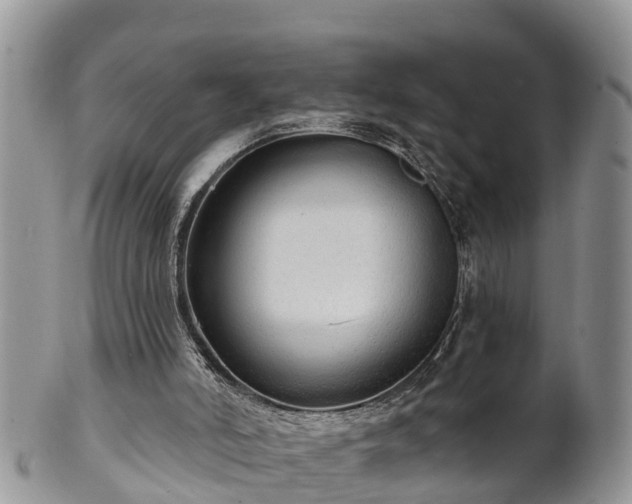 X0000102280006200808011501