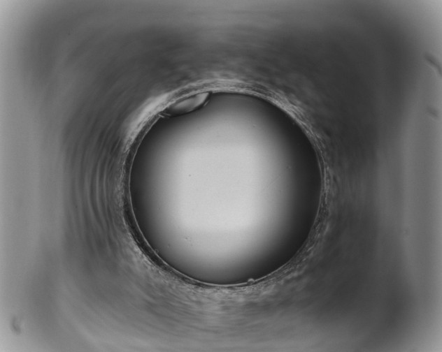 X0000102280007200808011501