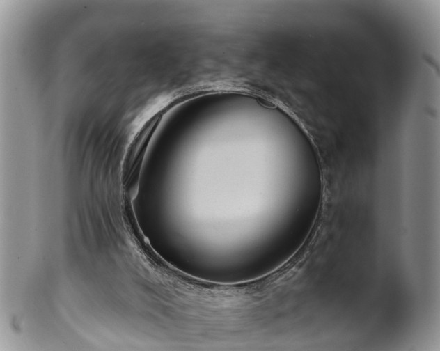 X0000102280008200808011501