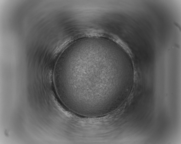 X0000102280009200808011501