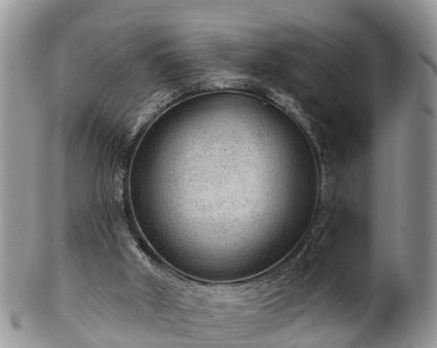 X0000102280010200808011500