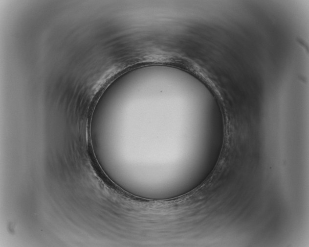 X0000102280011200808011500