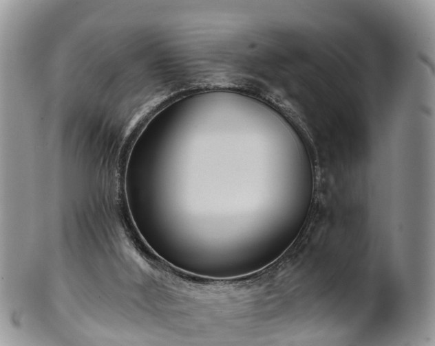 X0000102280012200808011500