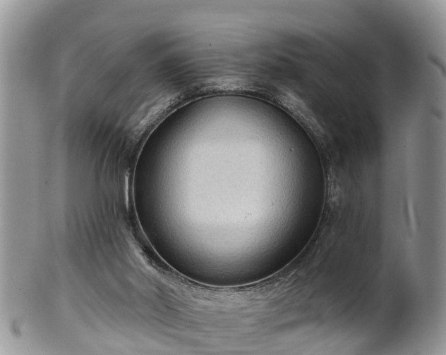 X0000102280014200808011500