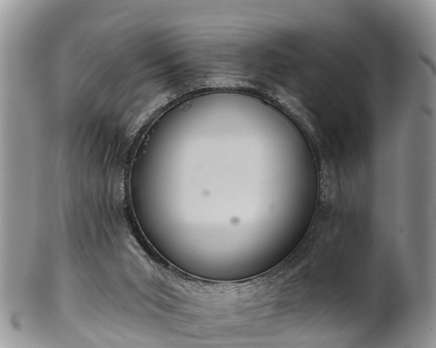 X0000102280015200808011500