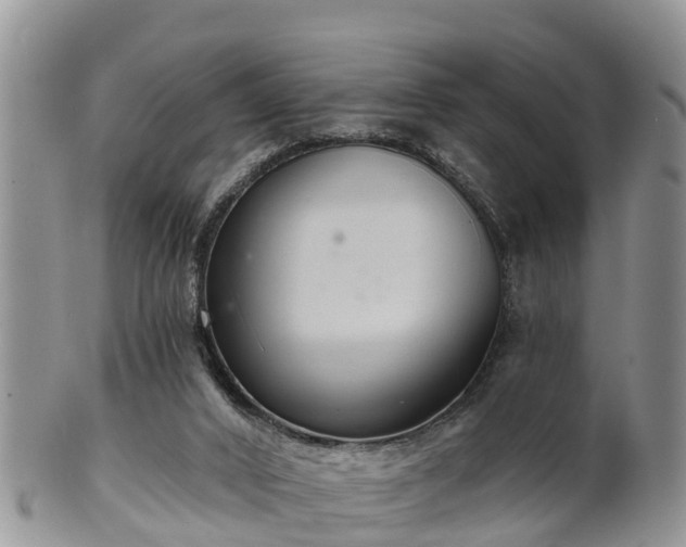 X0000102280016200808011500