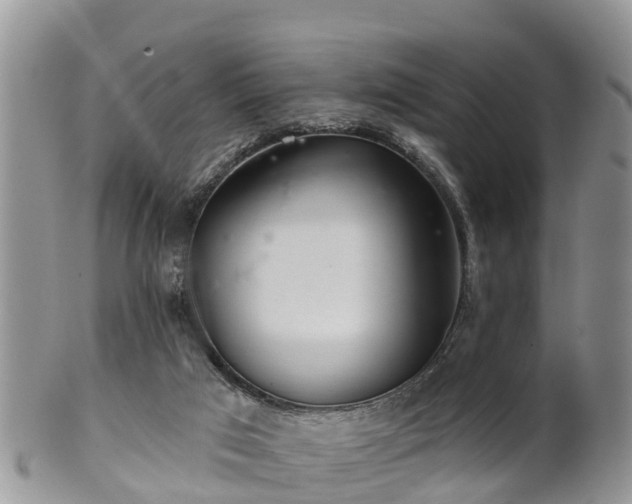 X0000102280017200808011500