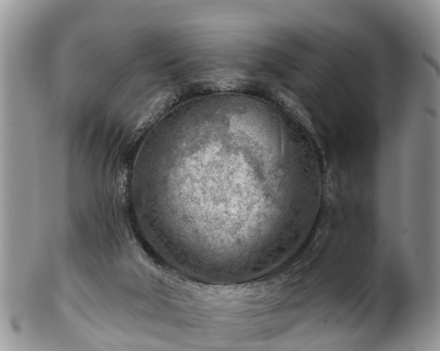 X0000102280018200808011500