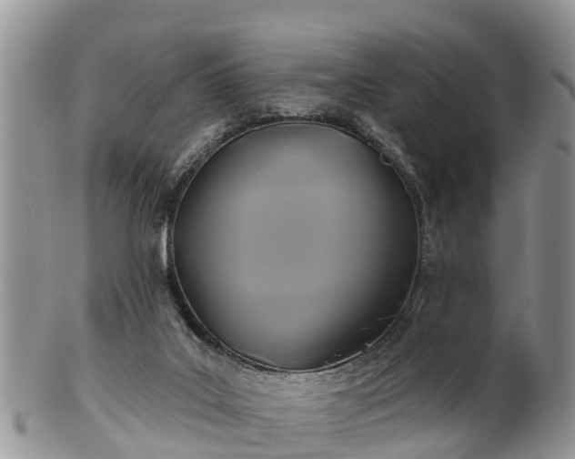 X0000102280019200808011500