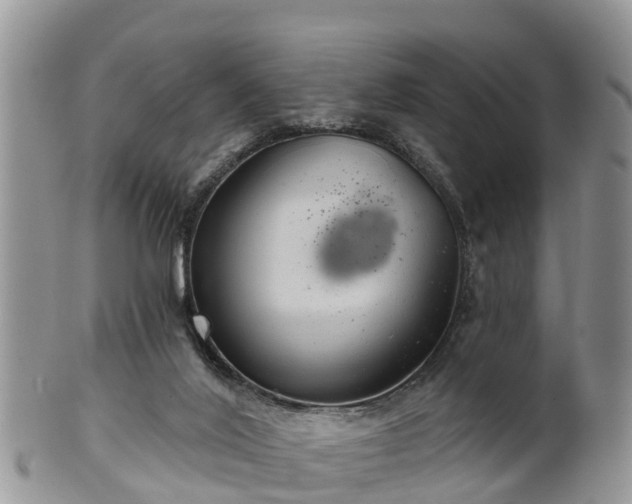 X0000102280020200808011500