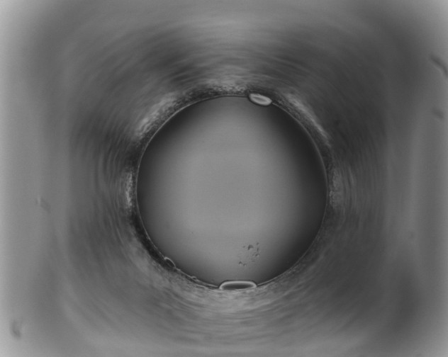 X0000102280023200808011500