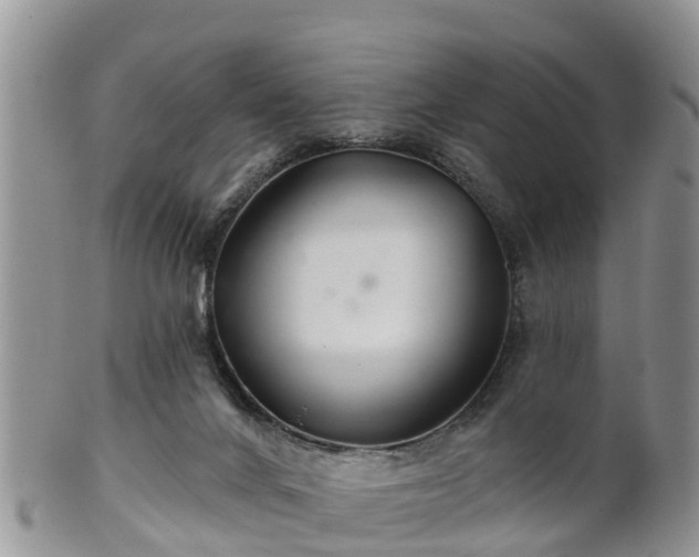 X0000102280024200808011500