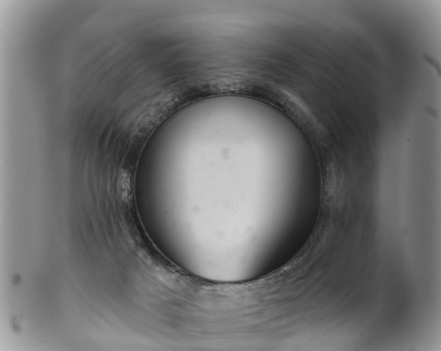 X0000102280025200808011500