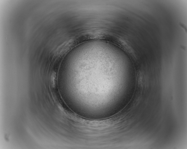 X0000102280026200808011500