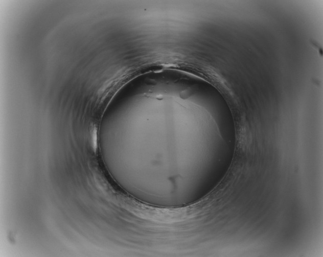 X0000102280027200808011500